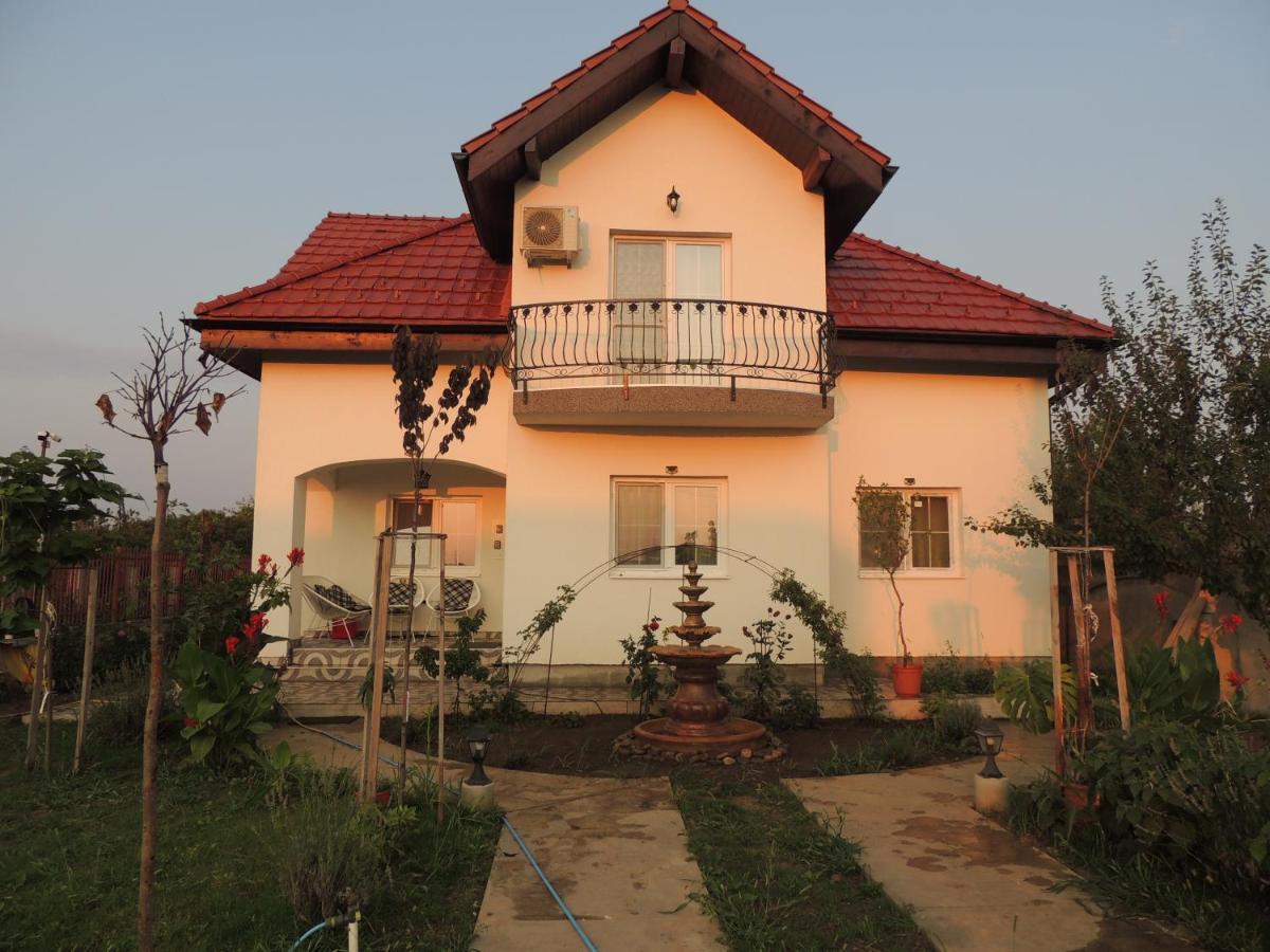 Blue Sky House Hotel Балотещи Екстериор снимка